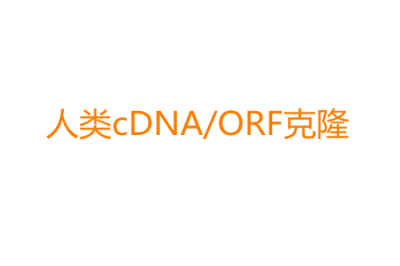 人类cDNA文库