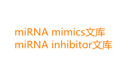 miRNA mimics和inhibitor文库